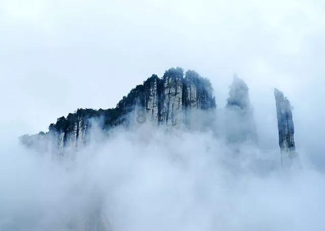 山东特产有哪些 可携带的山东特产